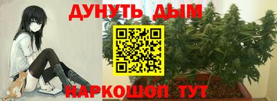 PSILOCYBIN Изобильный