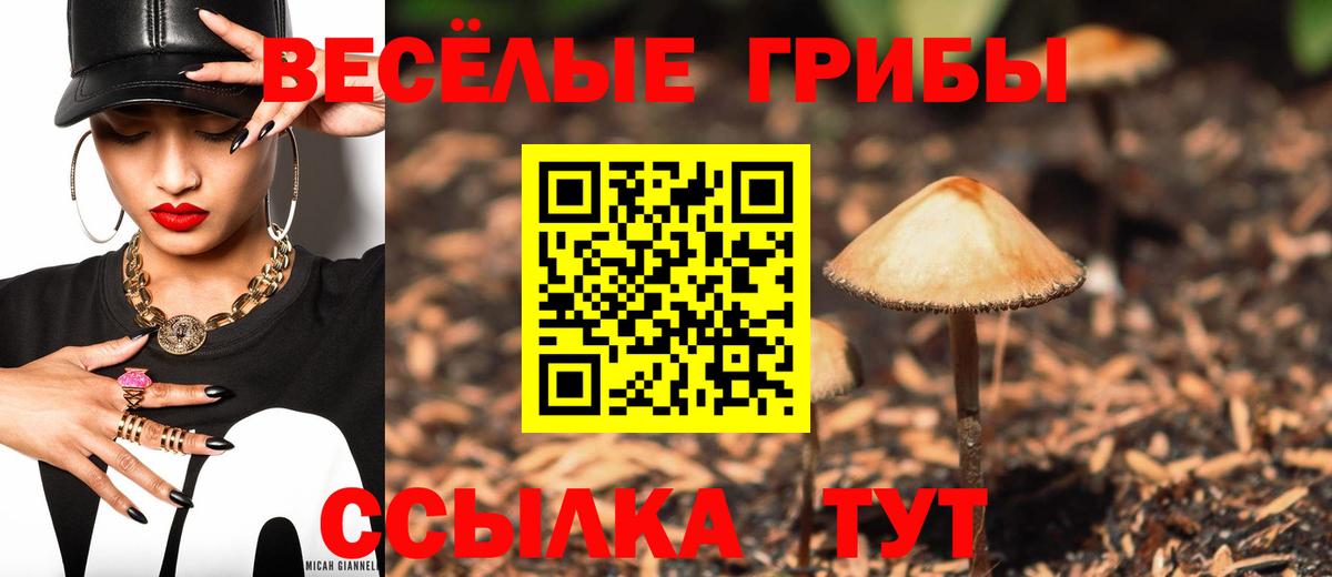 Псилоцибиновые грибы Psilocybine cubensis Златоуст
